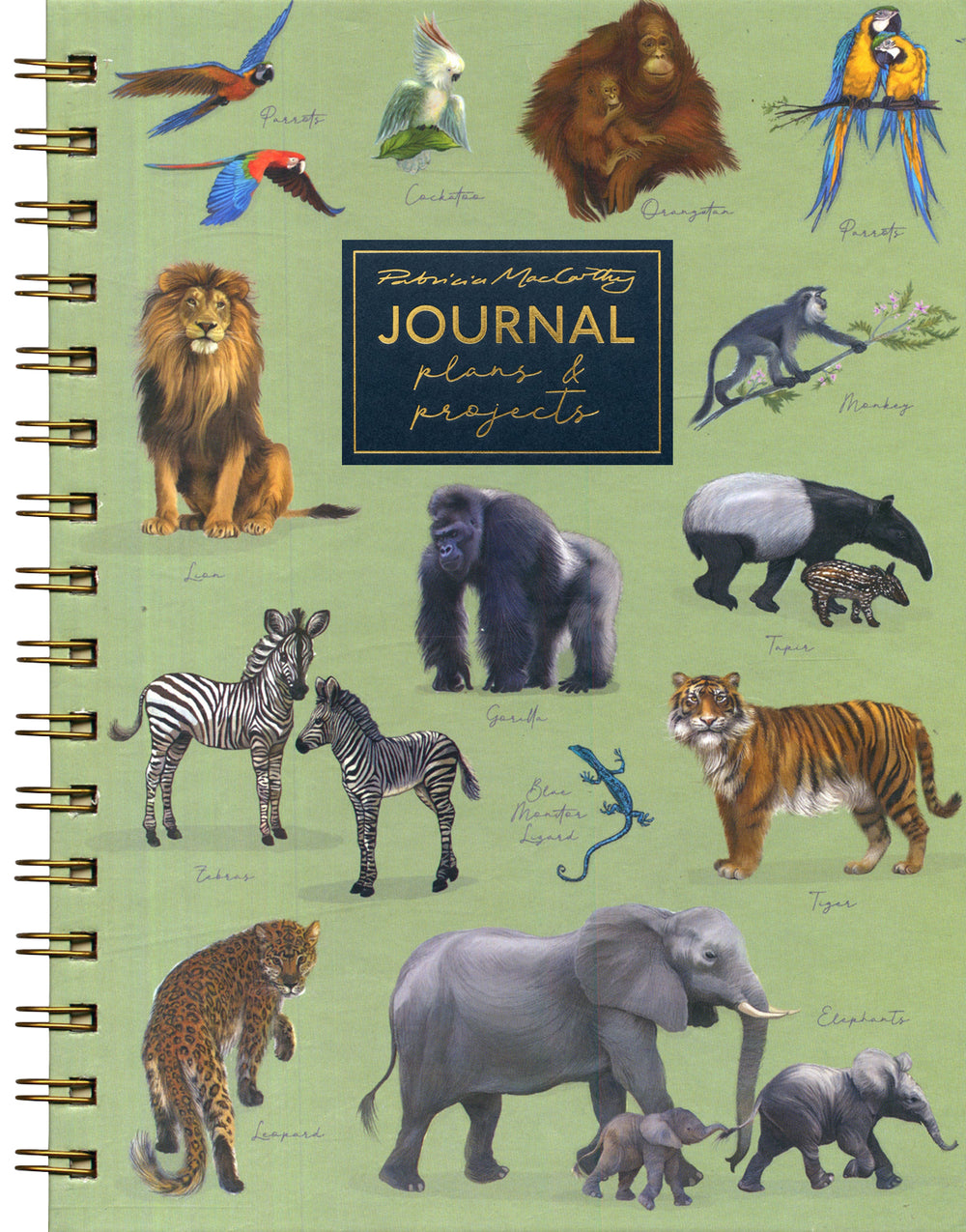 Patricia MacCarthy Jungle Journal Plans & Projects