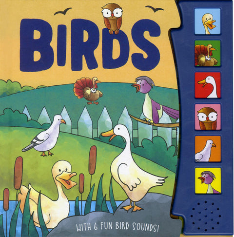 Birds: 6 Fun Bird Sound