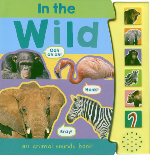 In the Wild an Animal Sounds Books