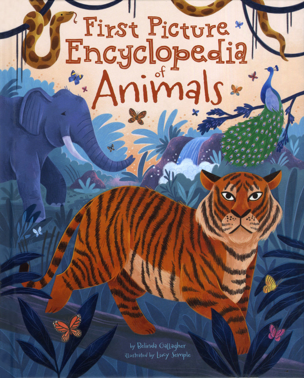 First Picture Encyclopedia of Animals