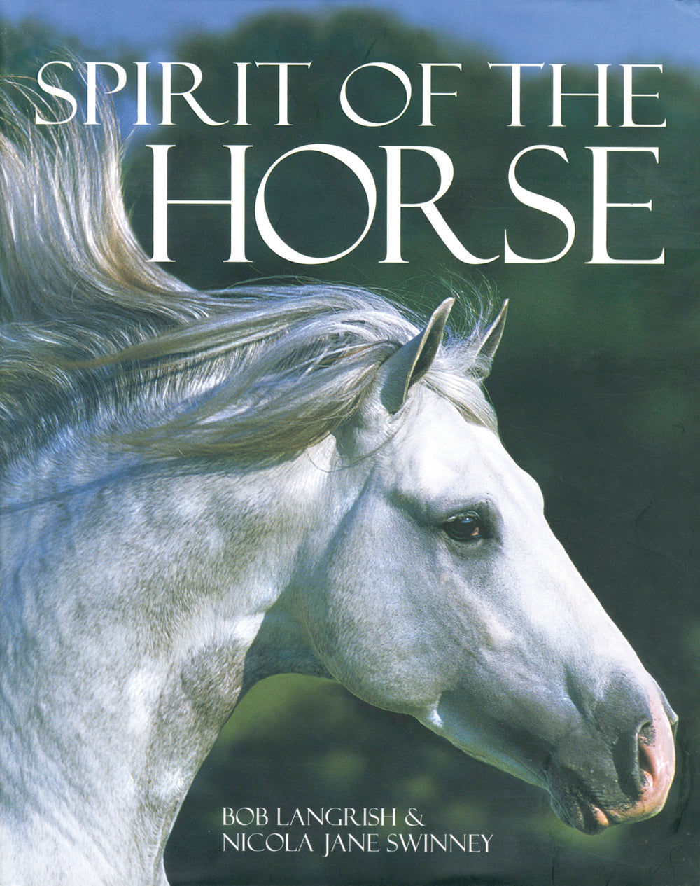 Spirit Of The Horse