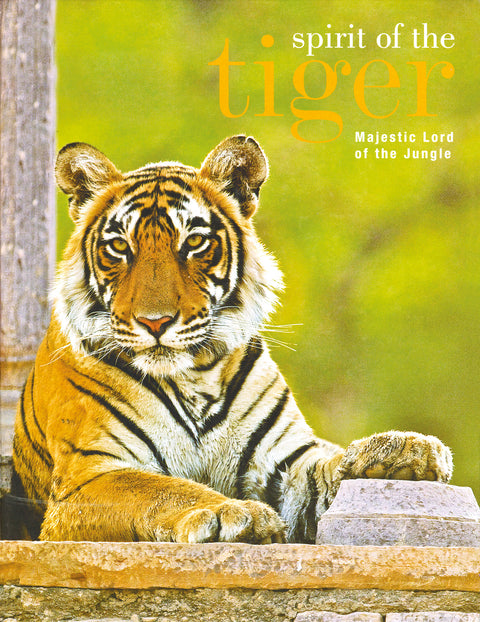 Spirit of the Tiger Majestic Lord of the Jungle