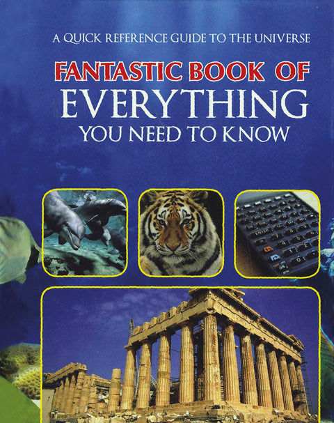 Fantastic Book of Everything You Need to Know