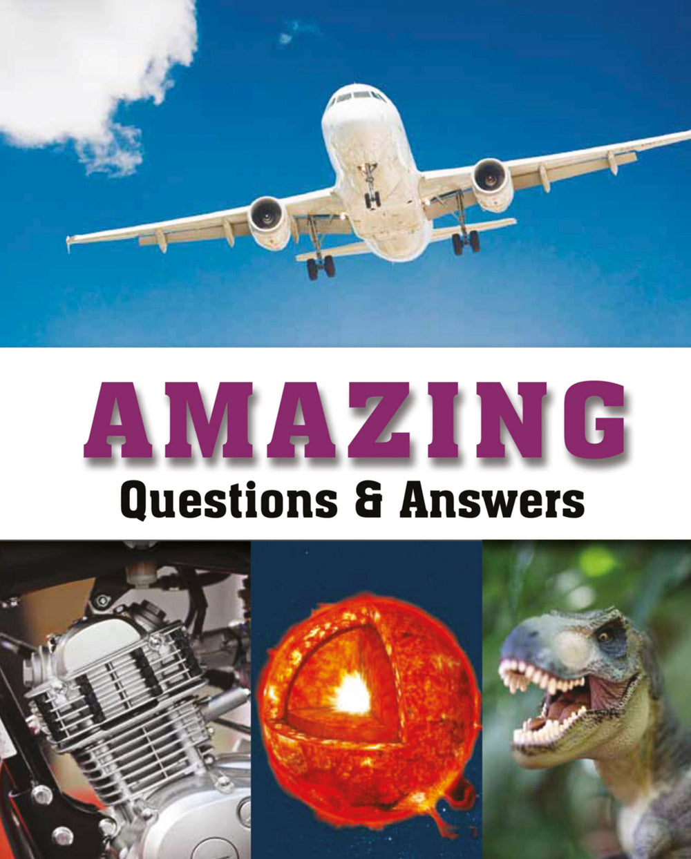 Amazing Questions & Answers