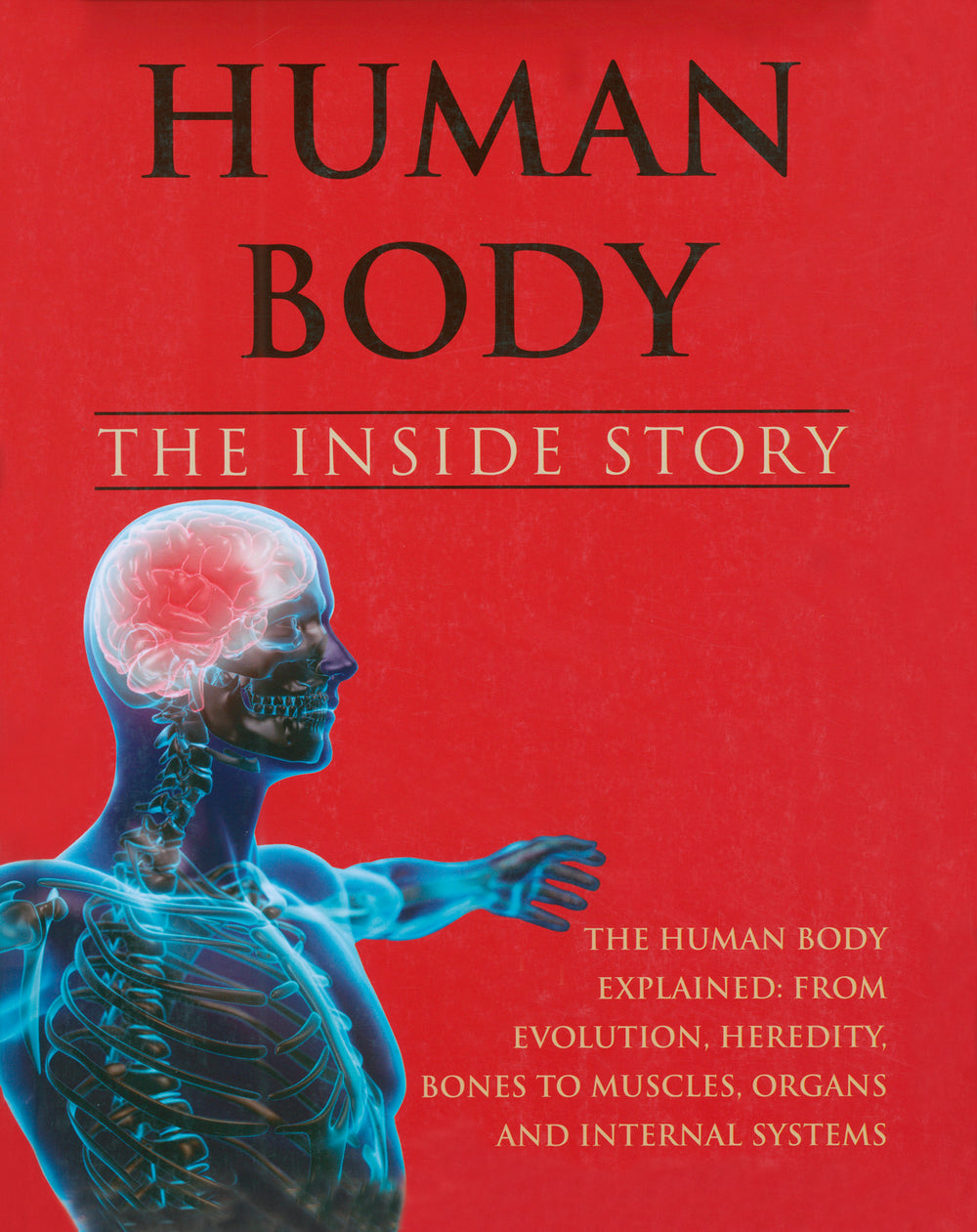 Human Body The Inside Story
