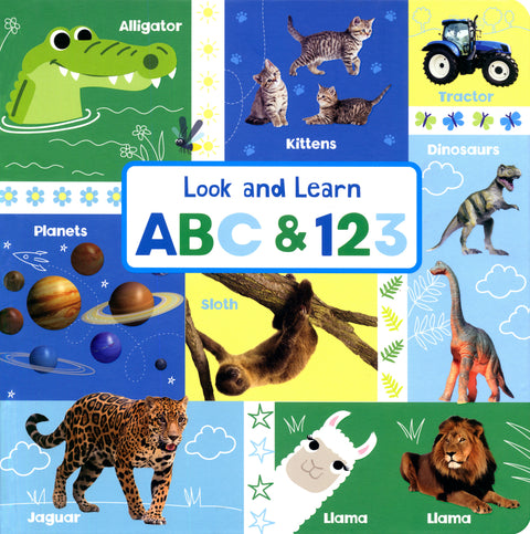 Look and Learn A B C & 1 2 3