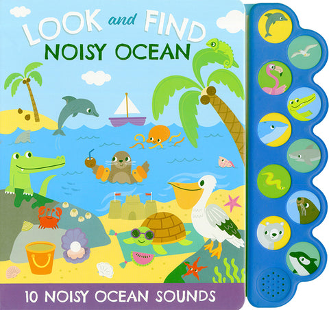 Look and Find Noisy Ocean