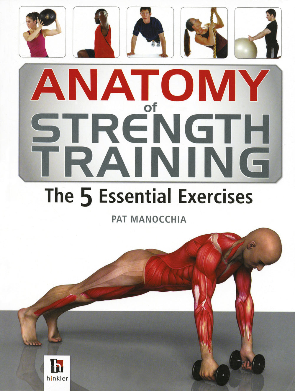 Anatomy of Strength Training