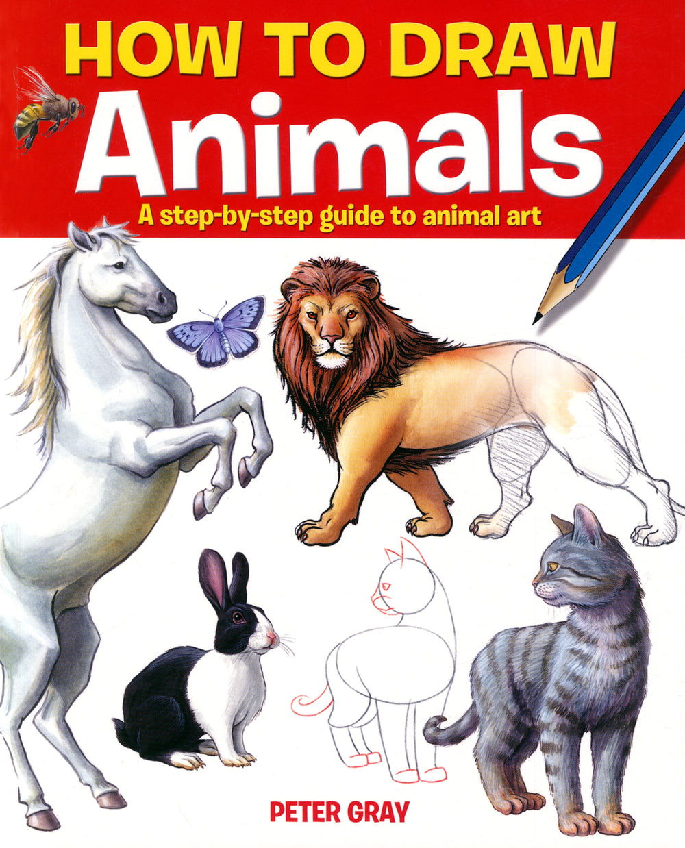 How to Draw Animals