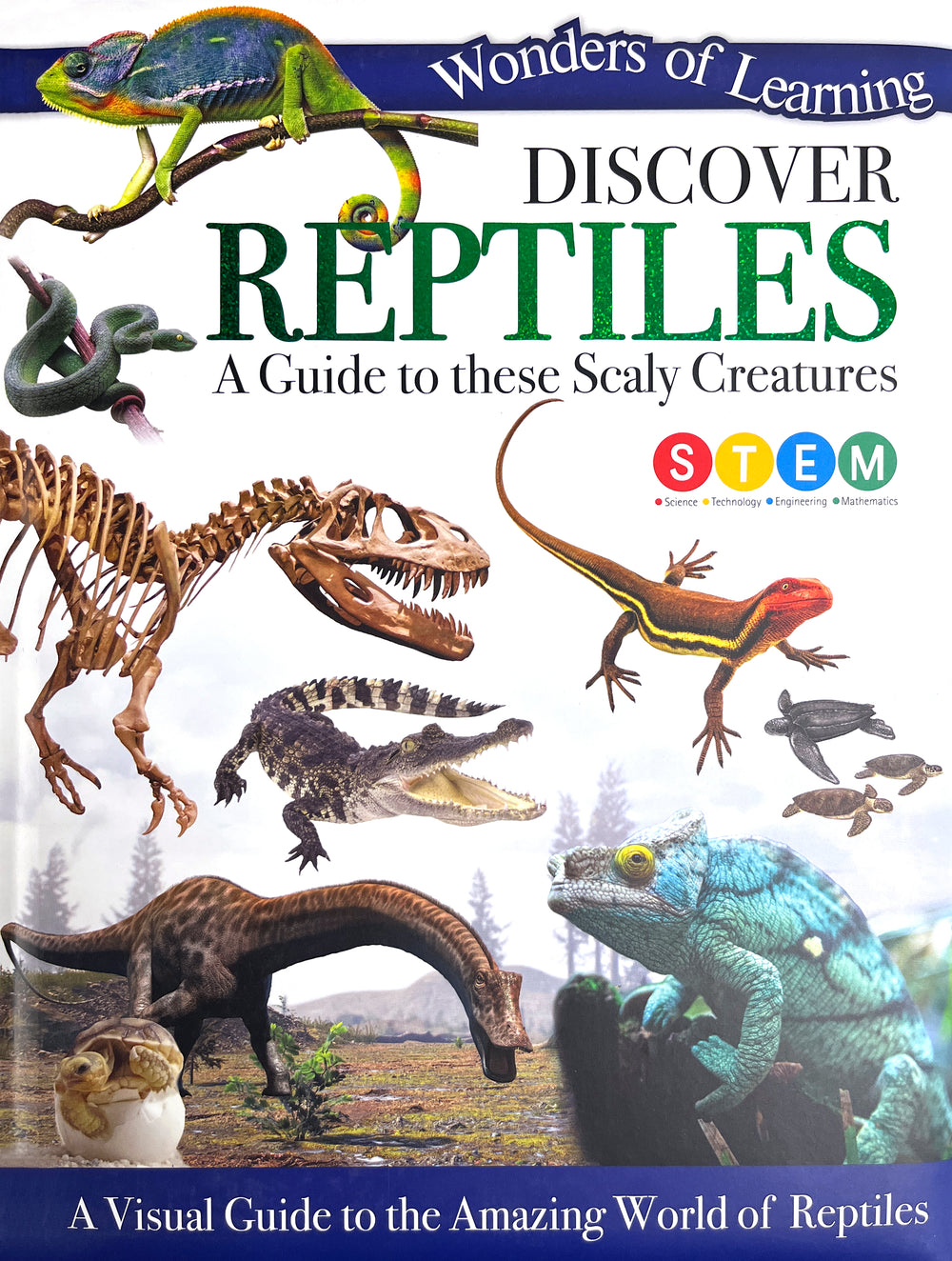 Discover Reptiles