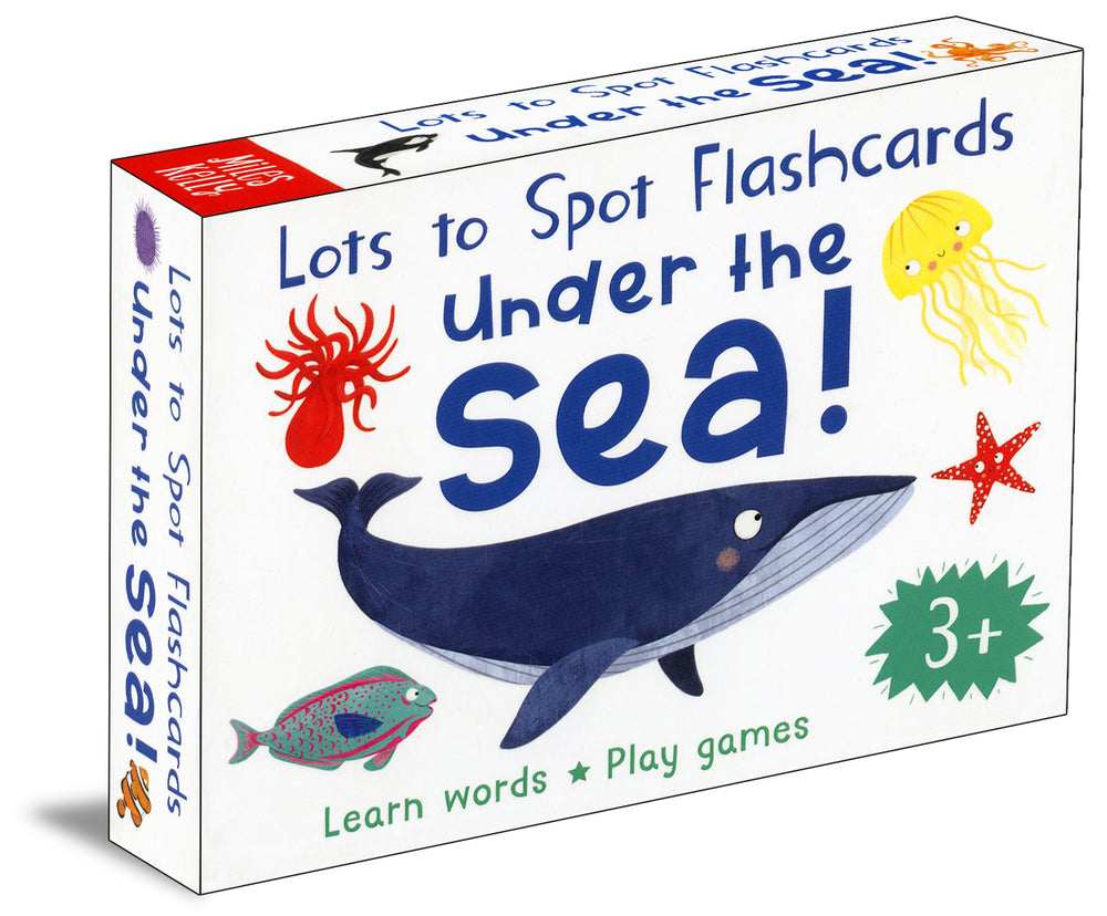 Lots to Spot Flashcards Under the Sea