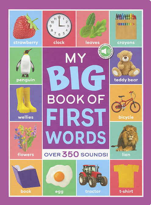 My Big Book of First Words