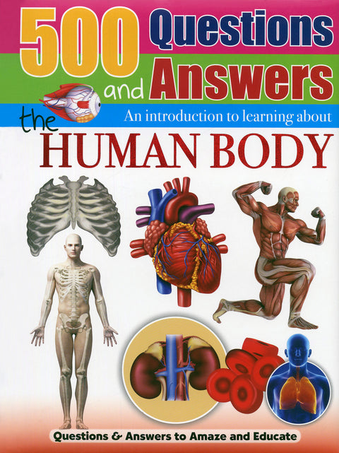 500 Questions and Answers the Human Body