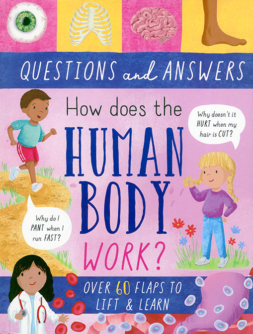 Questions and Answers Human Body