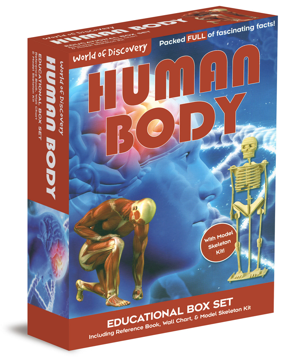 World of Discovery Human Body