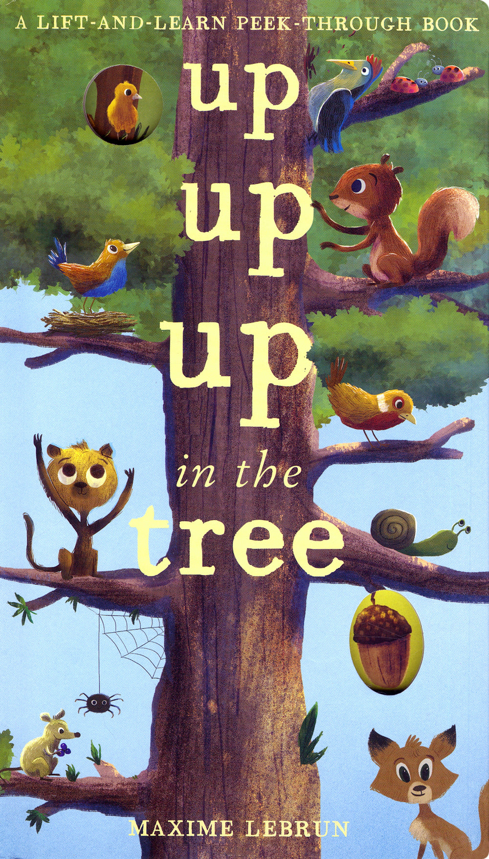 Up Up Up in the Tree