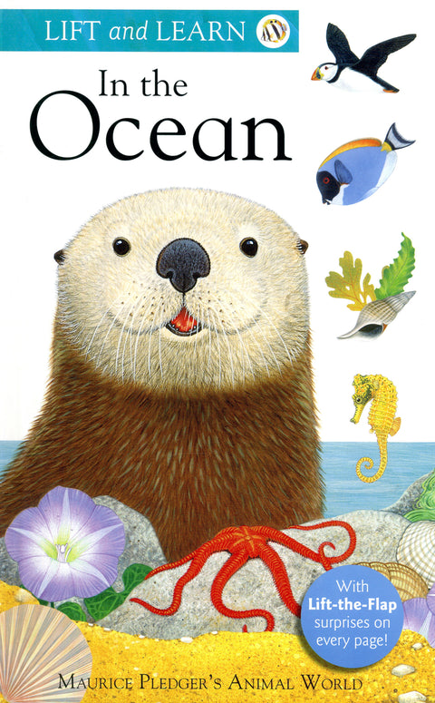 Lift and Learn in the Ocean