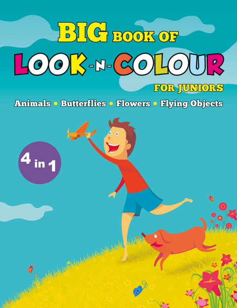 Big Book of Look-N-Colour (4 in 1)