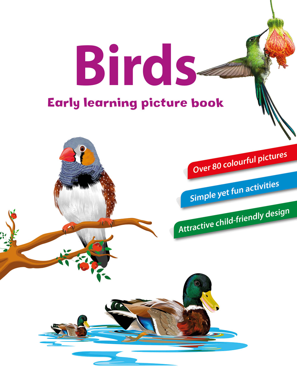 Birds Early Learning Picture Book