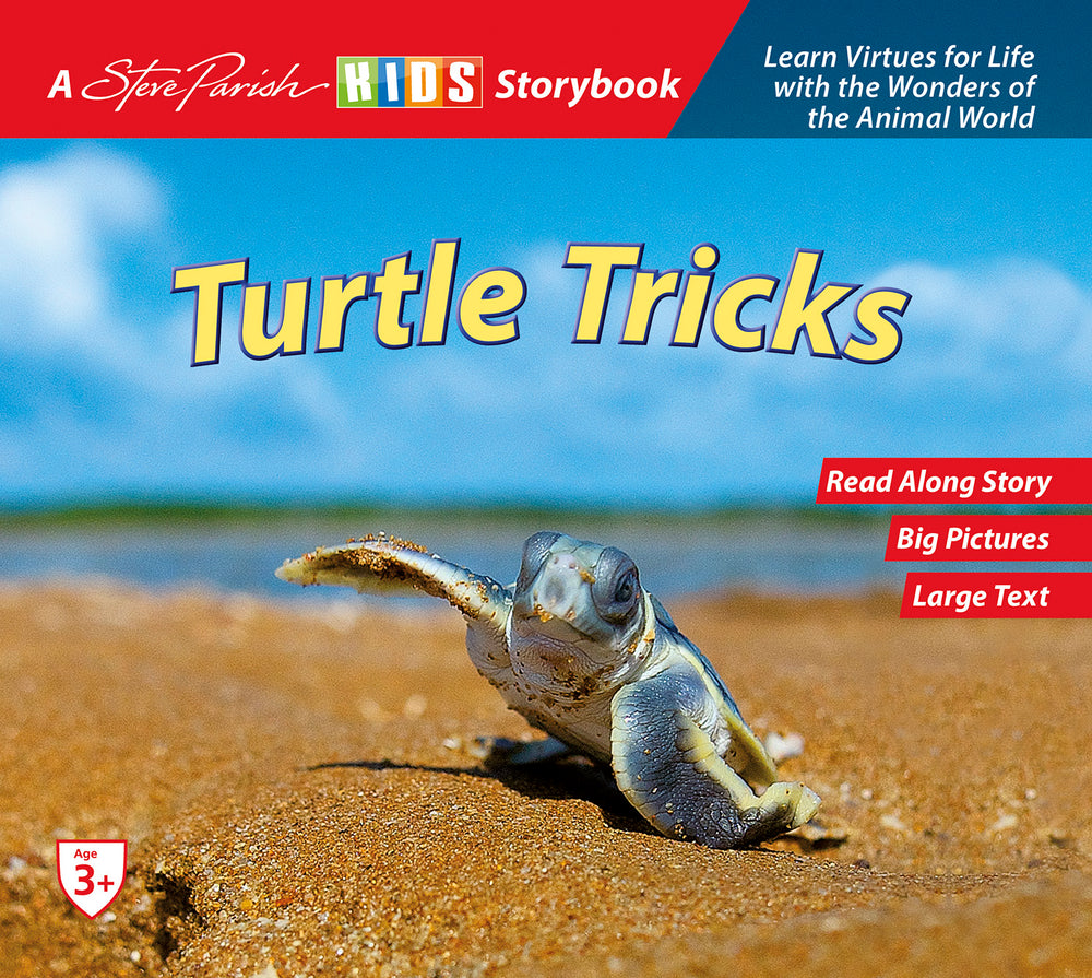 SP Kids Storybook Turtle Tricks