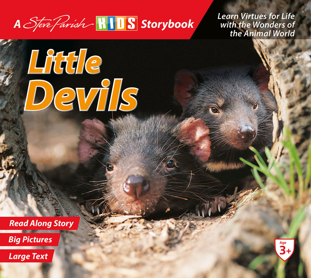 SP Kids Storybook Little Devils
