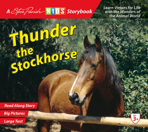 SP Kids Storybook Thunder the Stockhorse