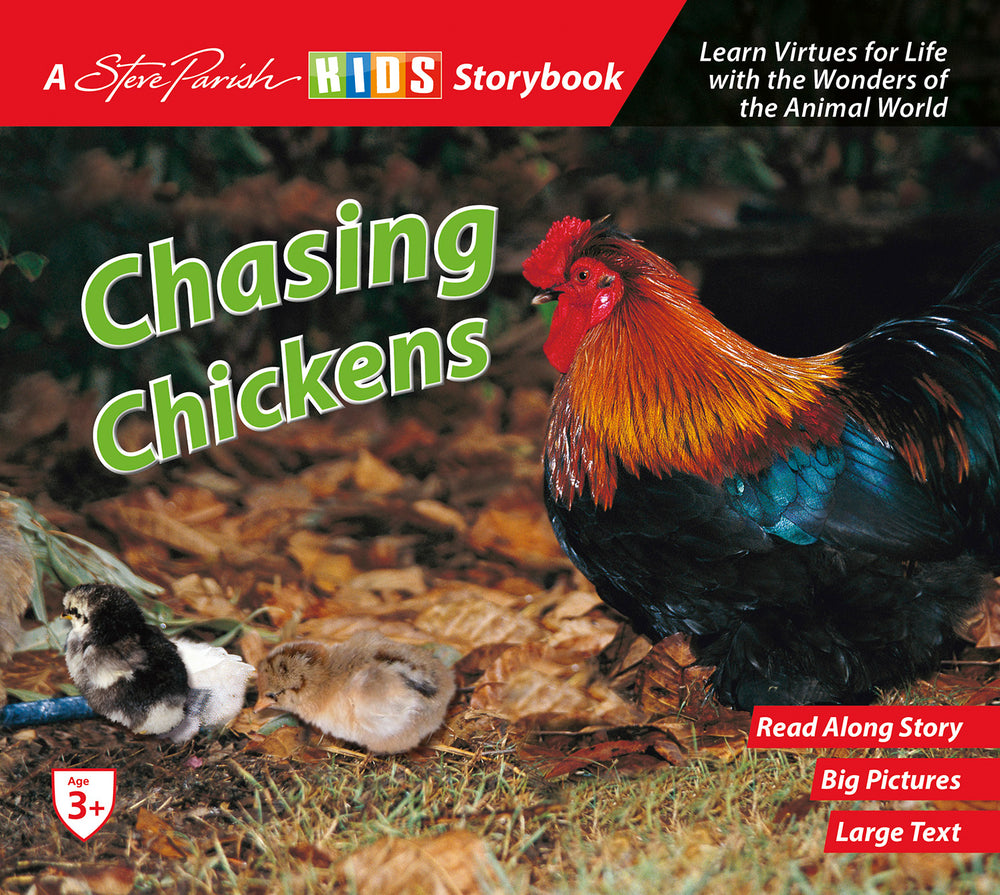 SP Kids Storybook Chasing Chickens