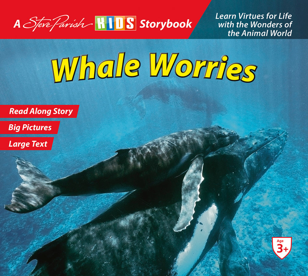 SP Kids Storybook Whale Worries