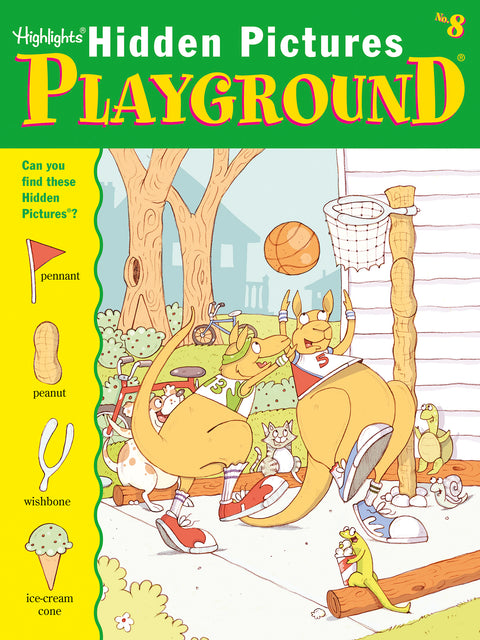 Hidden Pictures Playground No.8