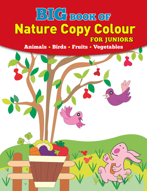 Big Book of Nature Copy Colour