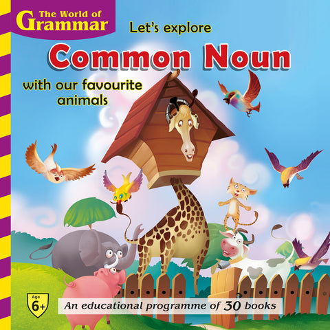 Let`s Explore Common Noun