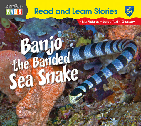 Banjo the Banded Sea Snake