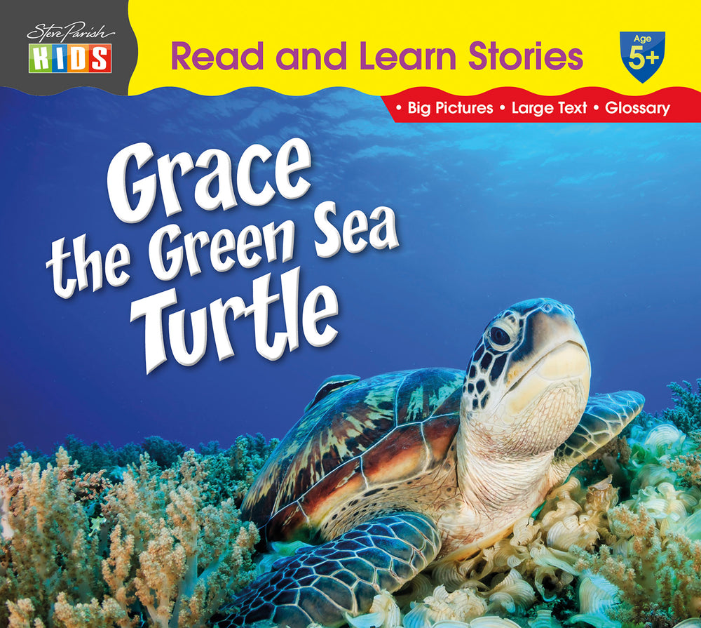 Grace the Green Sea Turtle