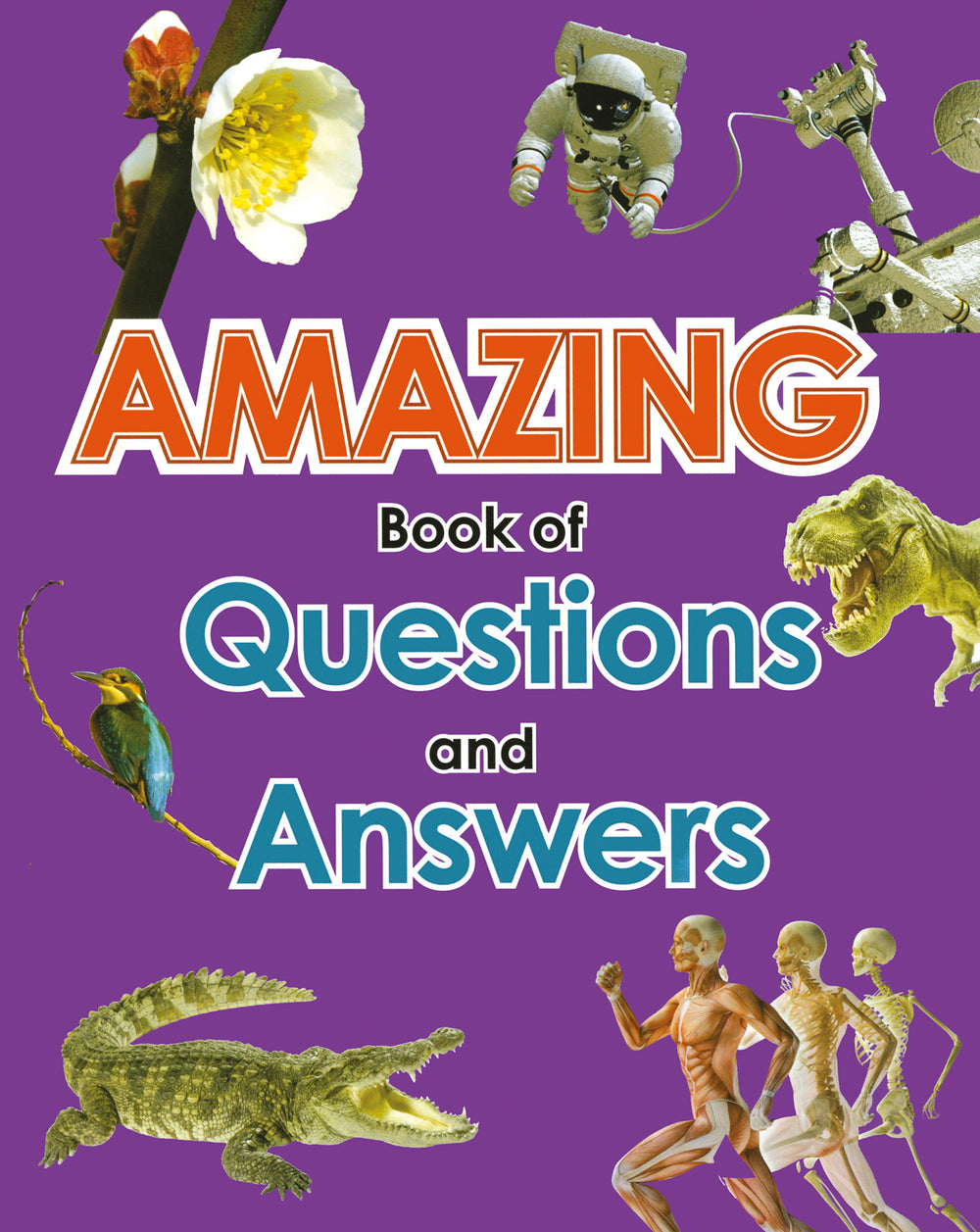 Amazing Book of Questions and Answers