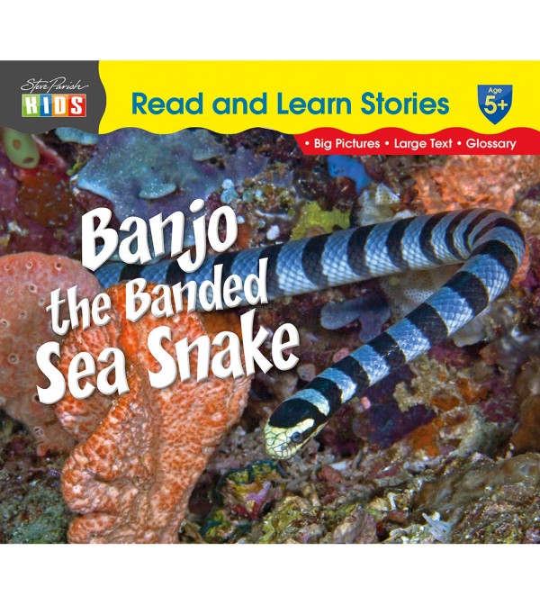 Banjo the Banded Sea Snake