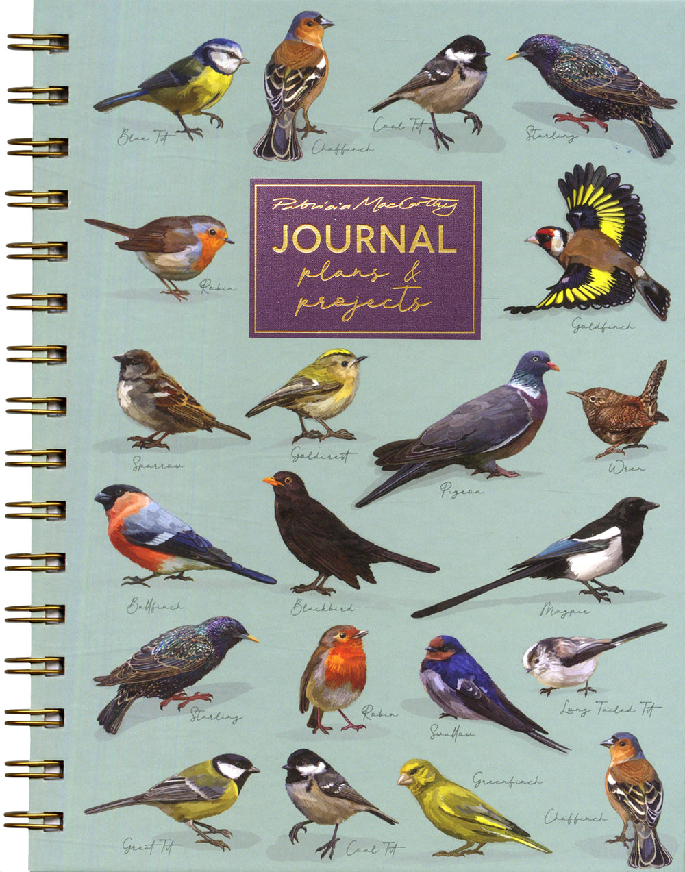 Patricia MacCarthy Birds Journal Plans & Projects