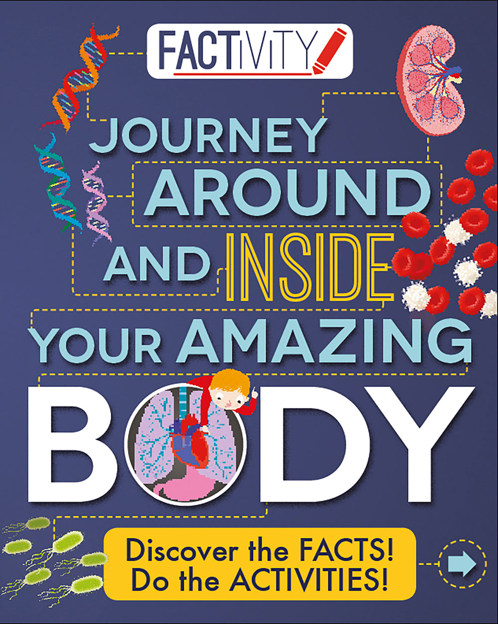 Factivity Journey Around and Inside Your Amazing Body