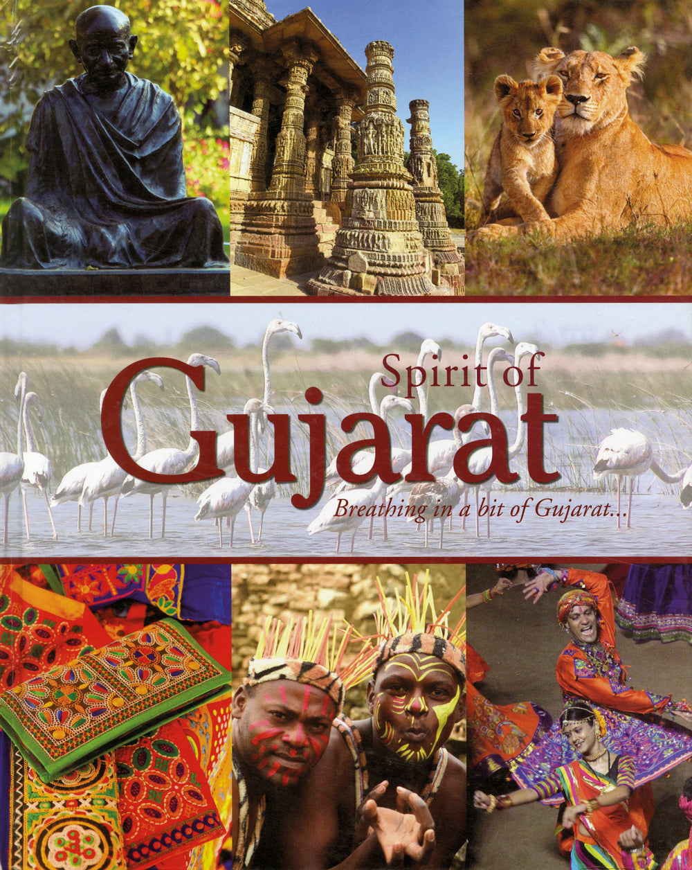 Spirit of Gujarat