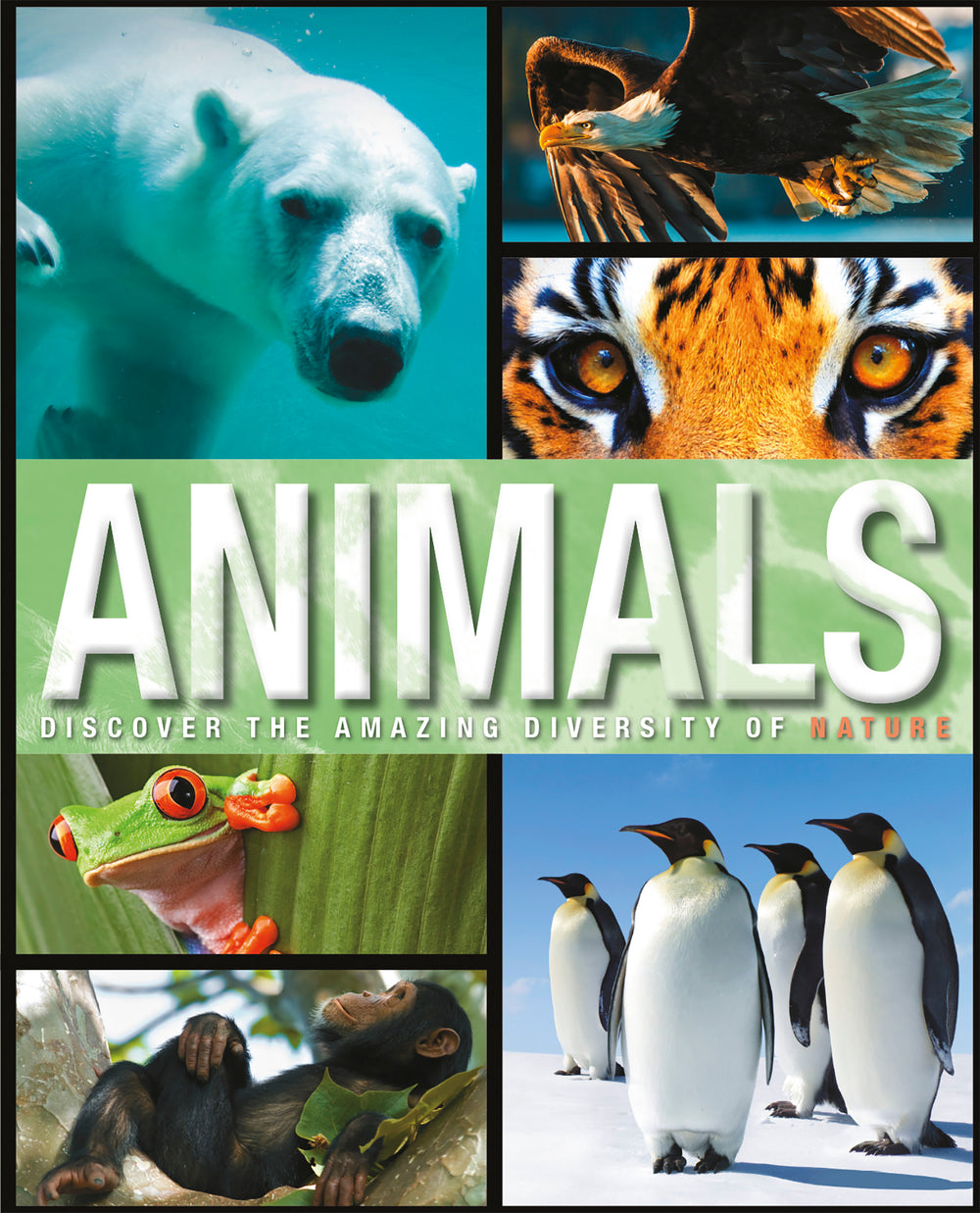 Amazing Fact Animals