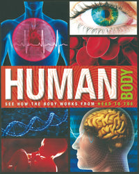 Amazing Fact Human Body
