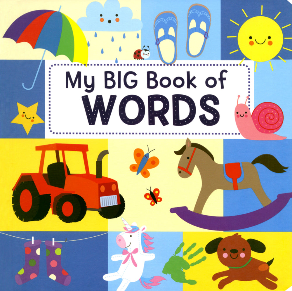 My Big Book of Words