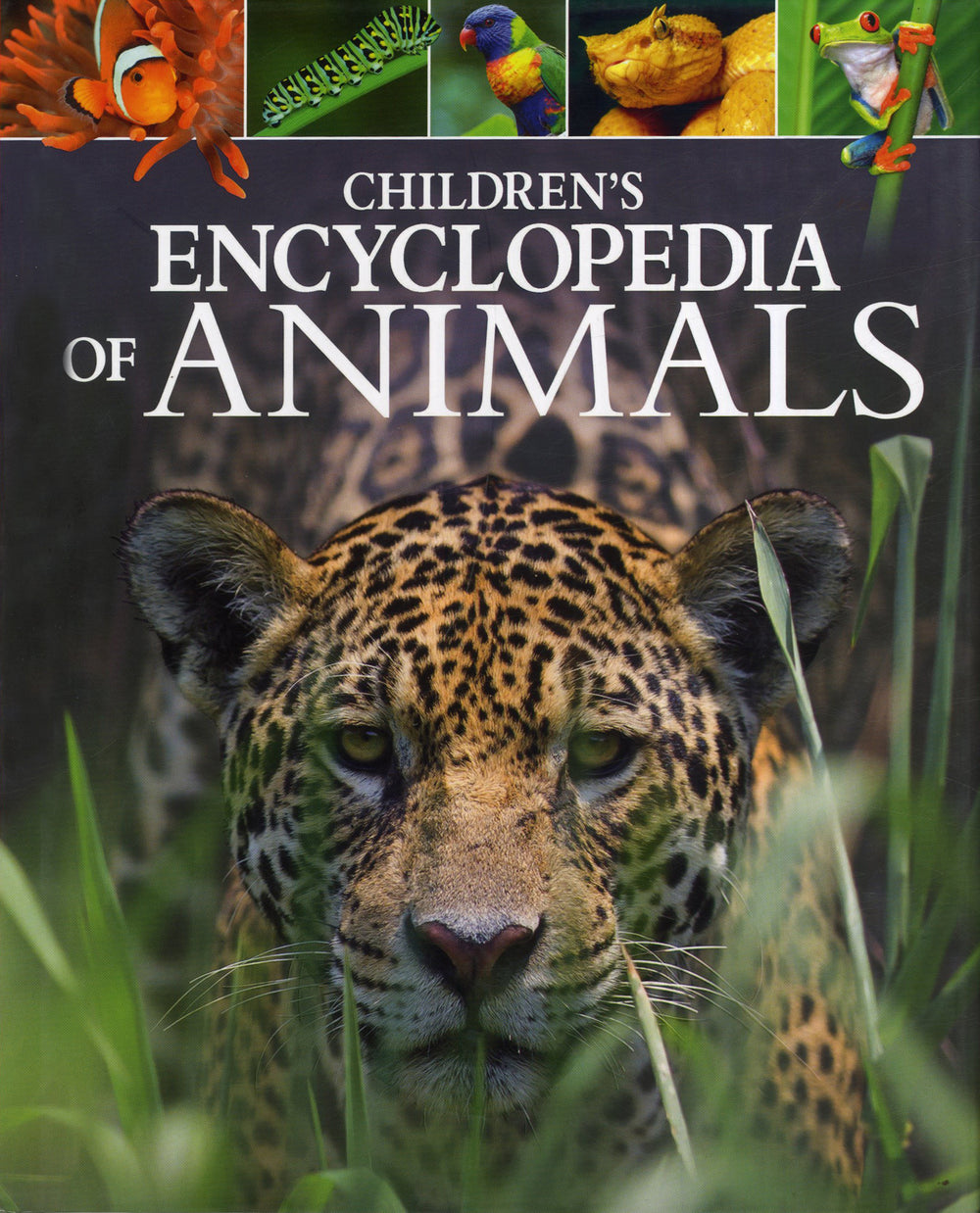 Children`s Encyclopedia of Animals