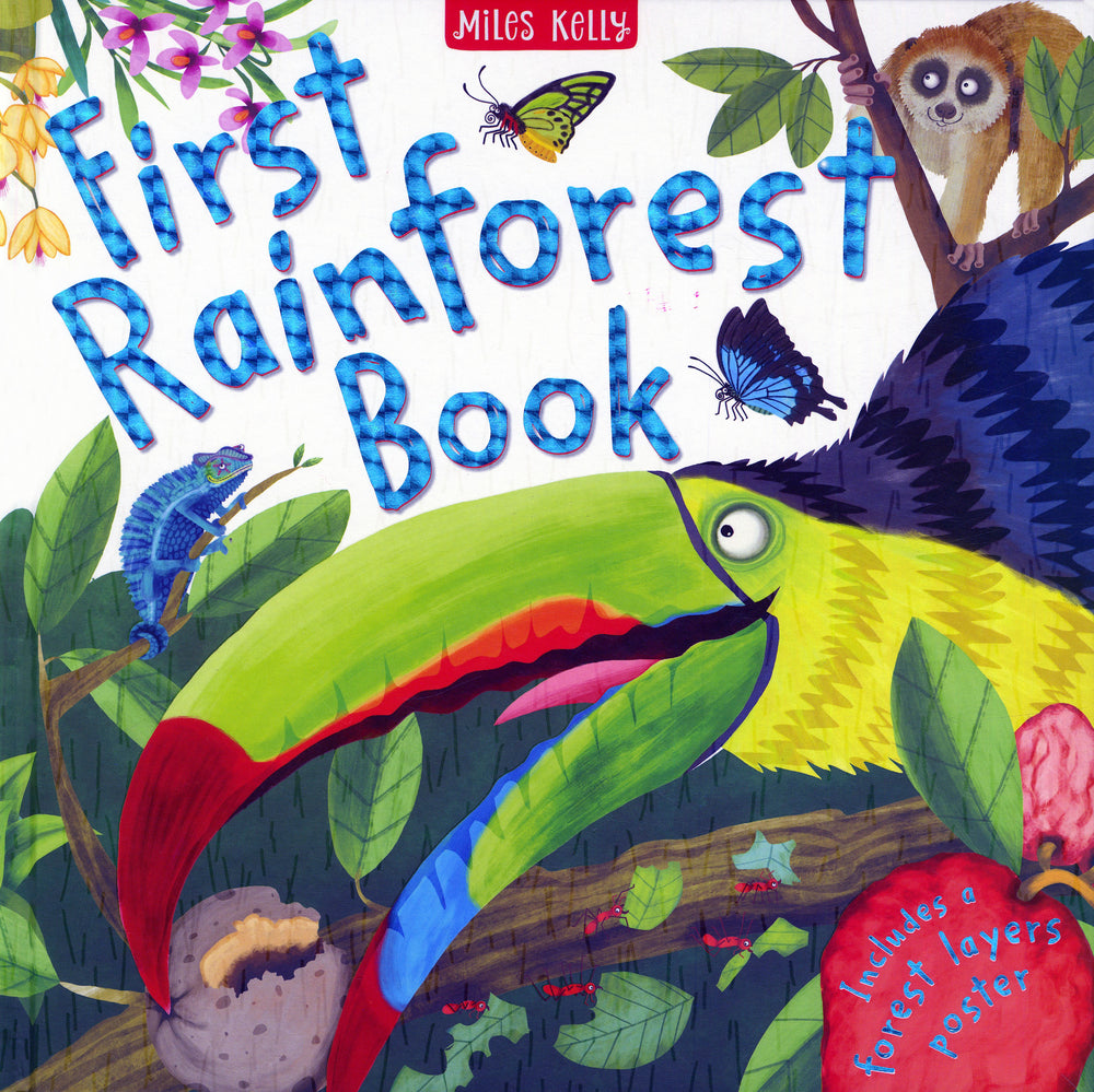 First Rainforest Book