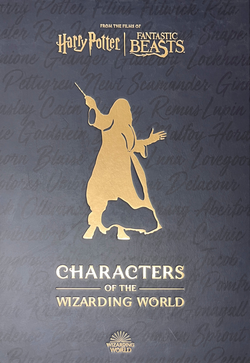 Harry Potter Characters of the Wizarding World