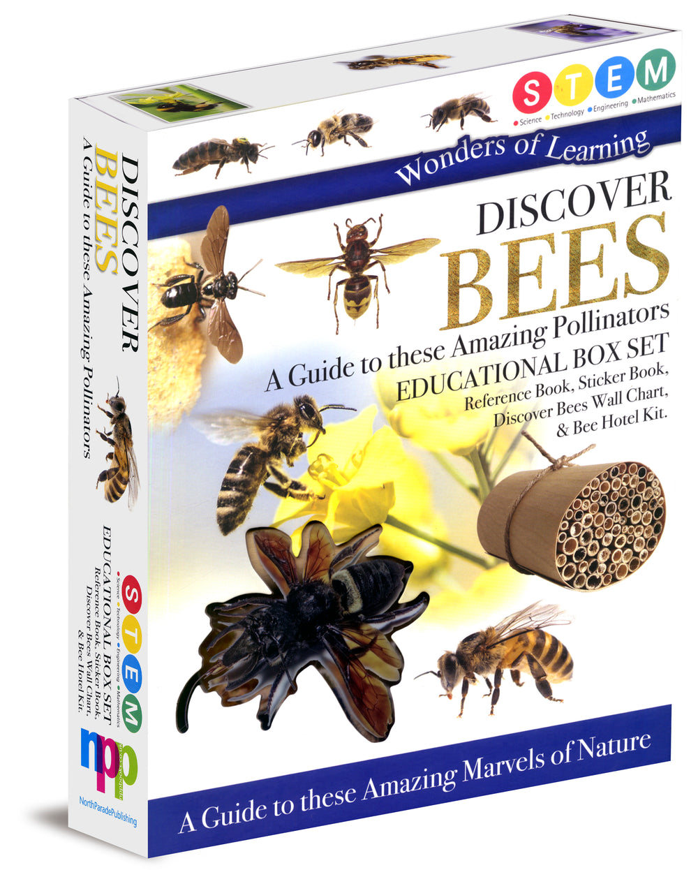 Wonders of Learning Discover Bees