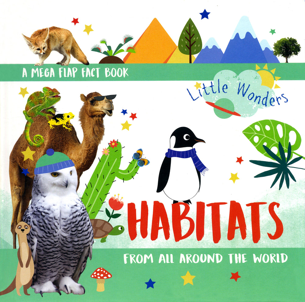 Little Wonders Habitats from all around the World
