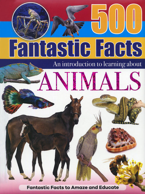 500 Fantastic Facts Animals