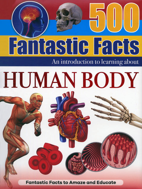 500 Fantastic Facts Human Body