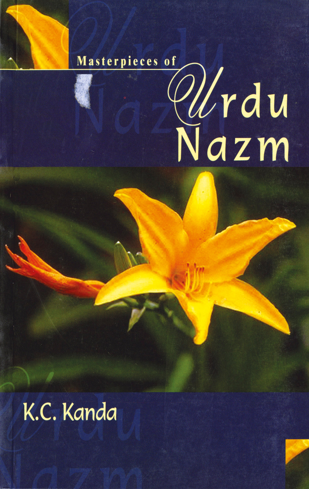 Masterpieces of Urdu Nazm