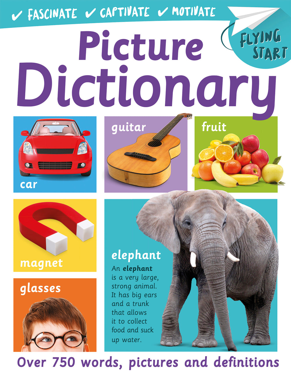 Flying Start Picture Dictionary